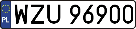 WZU96900
