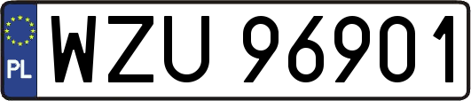 WZU96901