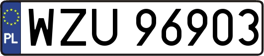 WZU96903