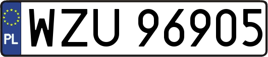 WZU96905