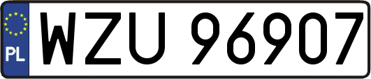 WZU96907