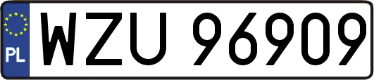 WZU96909