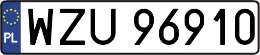 WZU96910
