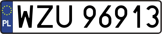 WZU96913