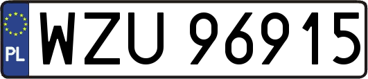 WZU96915