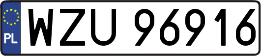 WZU96916