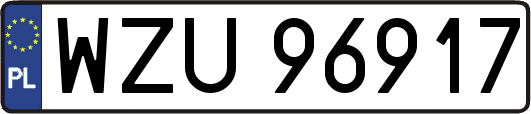 WZU96917