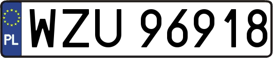 WZU96918