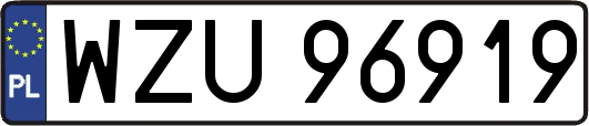WZU96919