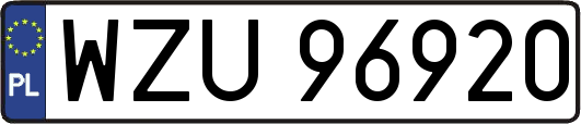 WZU96920