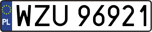 WZU96921