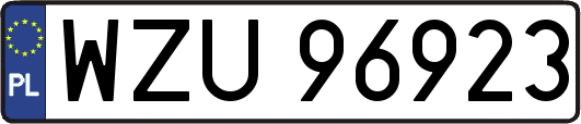 WZU96923
