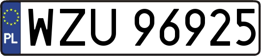 WZU96925