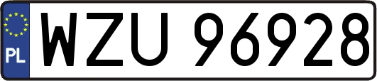 WZU96928