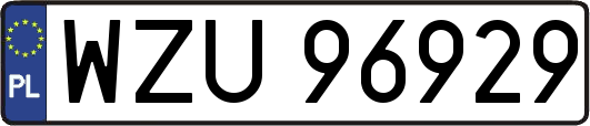 WZU96929