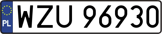 WZU96930