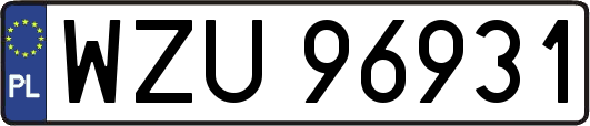 WZU96931