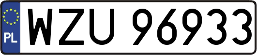 WZU96933