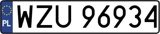 WZU96934