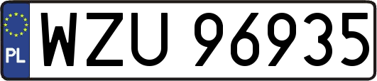 WZU96935