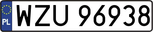 WZU96938
