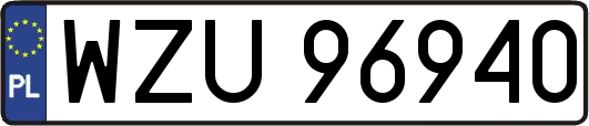 WZU96940