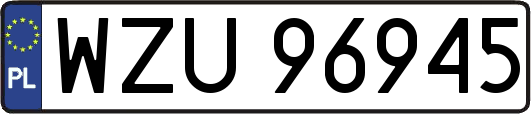 WZU96945
