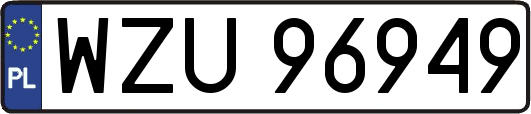 WZU96949