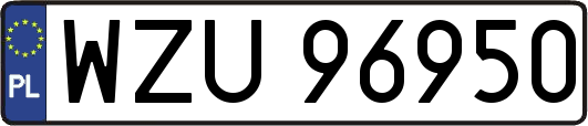 WZU96950