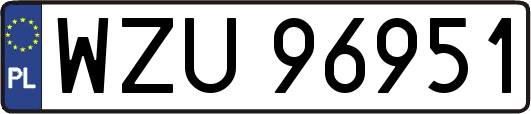 WZU96951