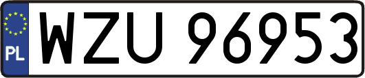 WZU96953