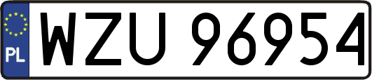 WZU96954