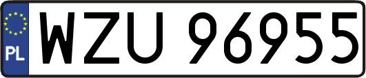 WZU96955