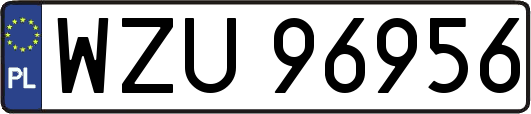 WZU96956