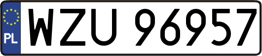 WZU96957