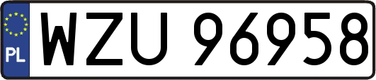 WZU96958