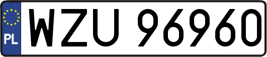 WZU96960