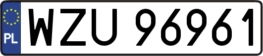 WZU96961