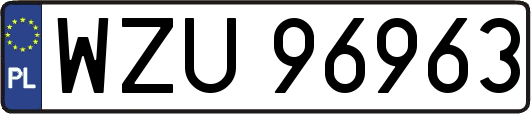 WZU96963
