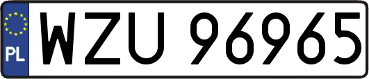 WZU96965