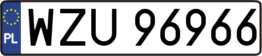 WZU96966