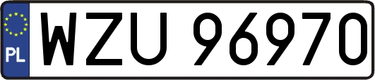 WZU96970
