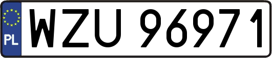 WZU96971