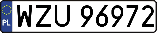 WZU96972
