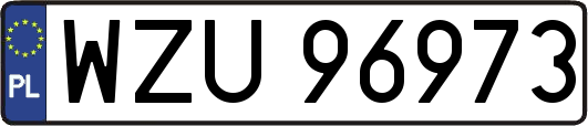 WZU96973