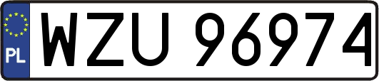 WZU96974
