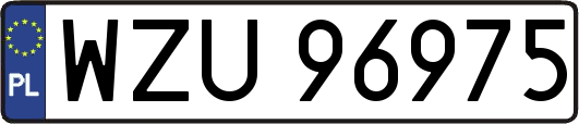 WZU96975