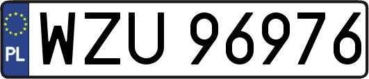 WZU96976