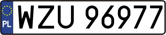 WZU96977