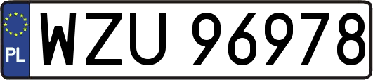 WZU96978